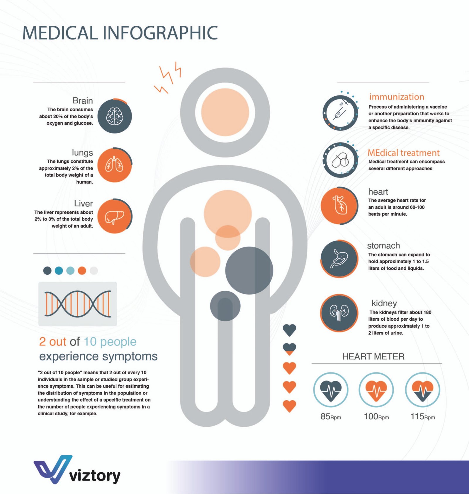 Understanding Your Body: A Medical Infographic Overview