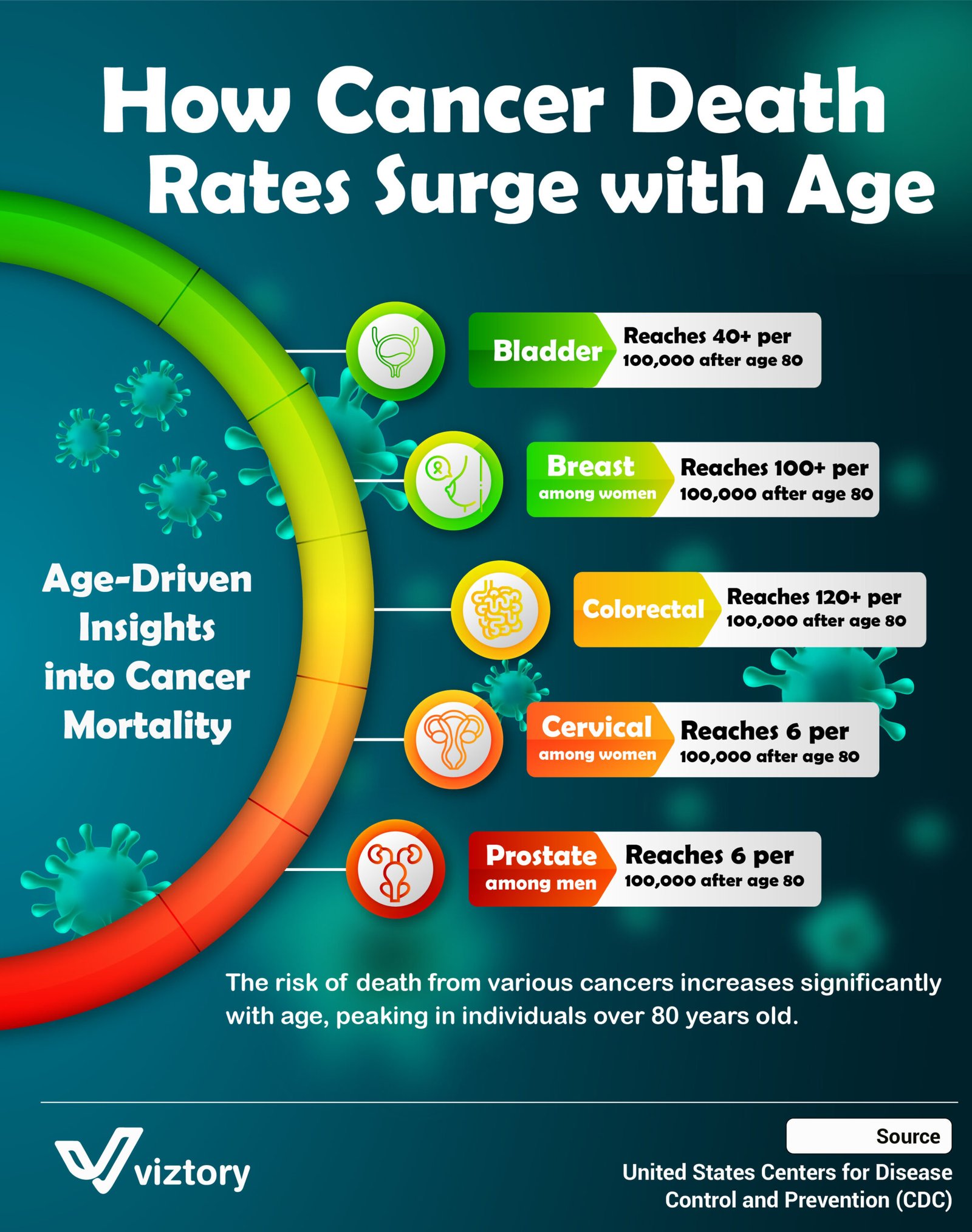 How Cancer Death Rates Surge with Age